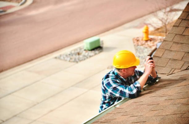 Best Roof Maintenance and Cleaning  in Shafer, MN