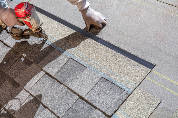 Best Roof Insulation Installation  in Shafer, MN